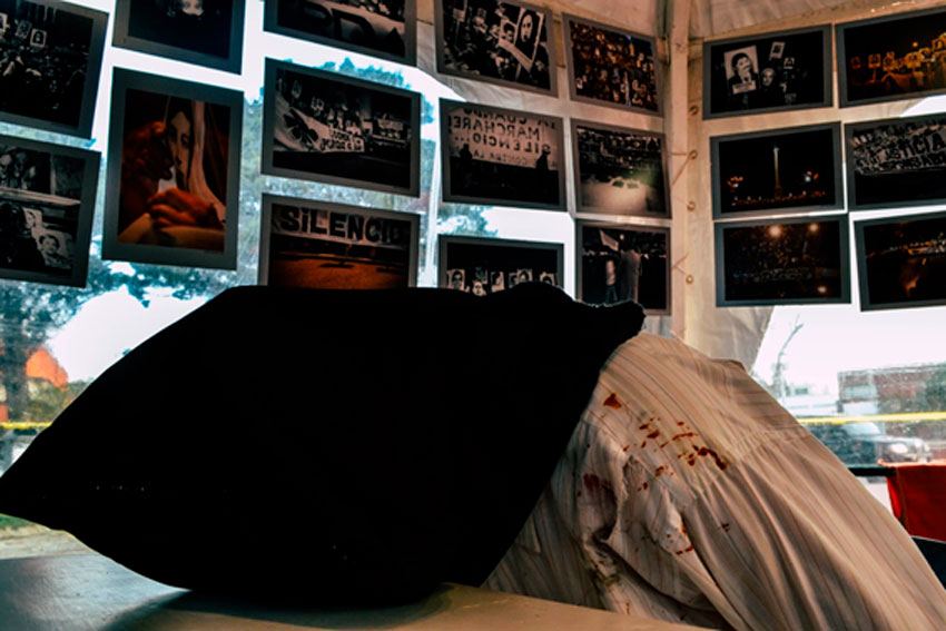 brillo-en-cautiverio3